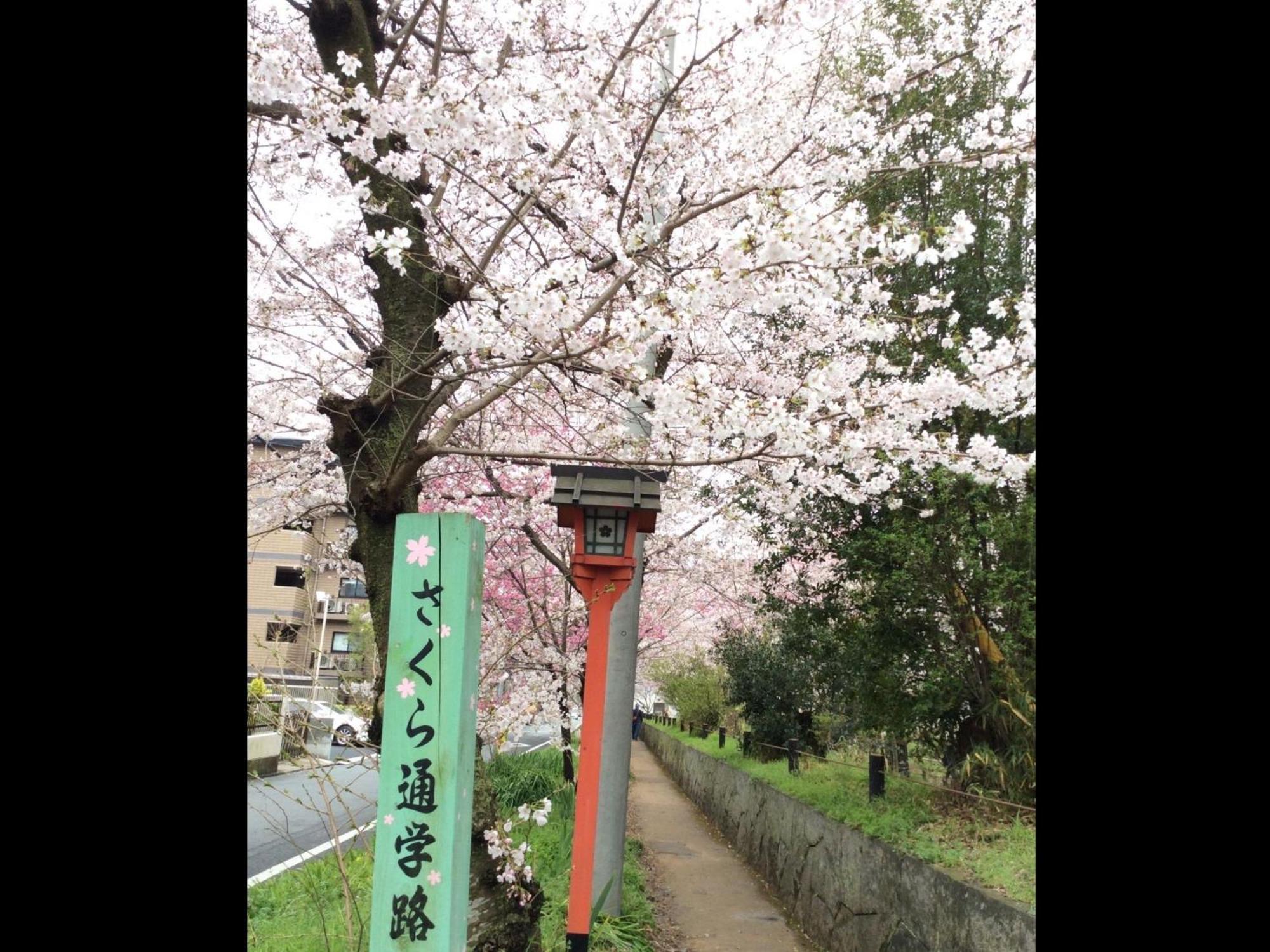 교우노야도 하나 니시진 교토 외부 사진