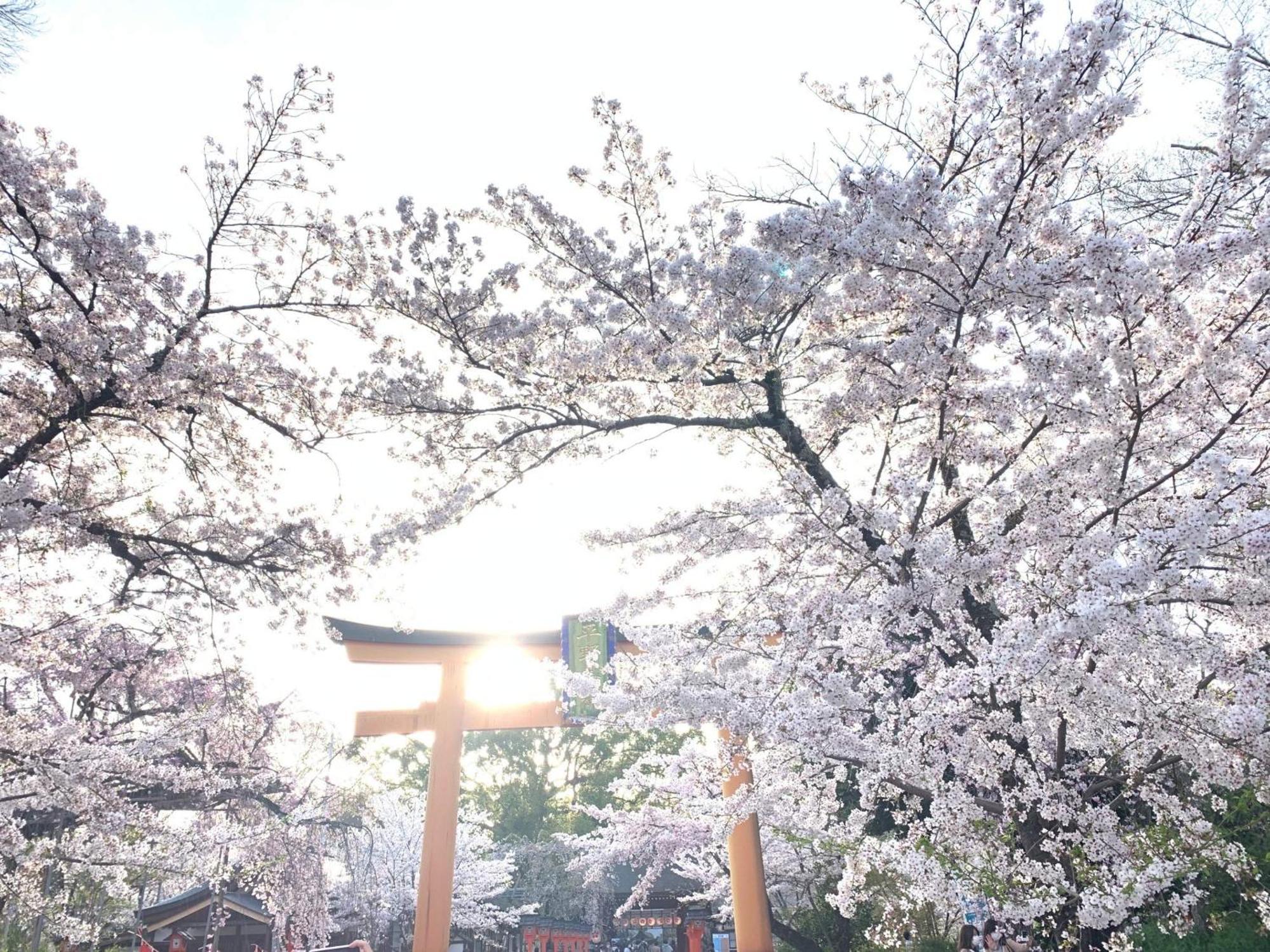 교우노야도 하나 니시진 교토 외부 사진